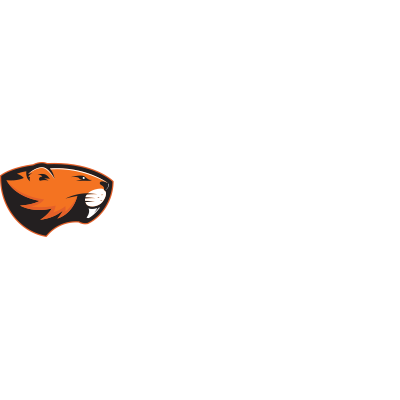 Beavercreek Plumbing & Drain - Five Star Group